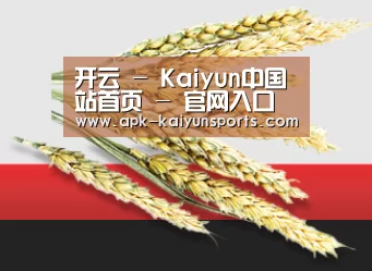 开云 - Kaiyun中国站首页 - 官网入口